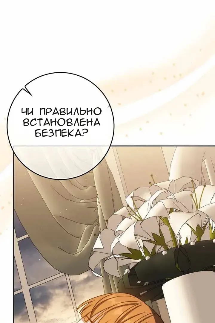 Сторінка 29