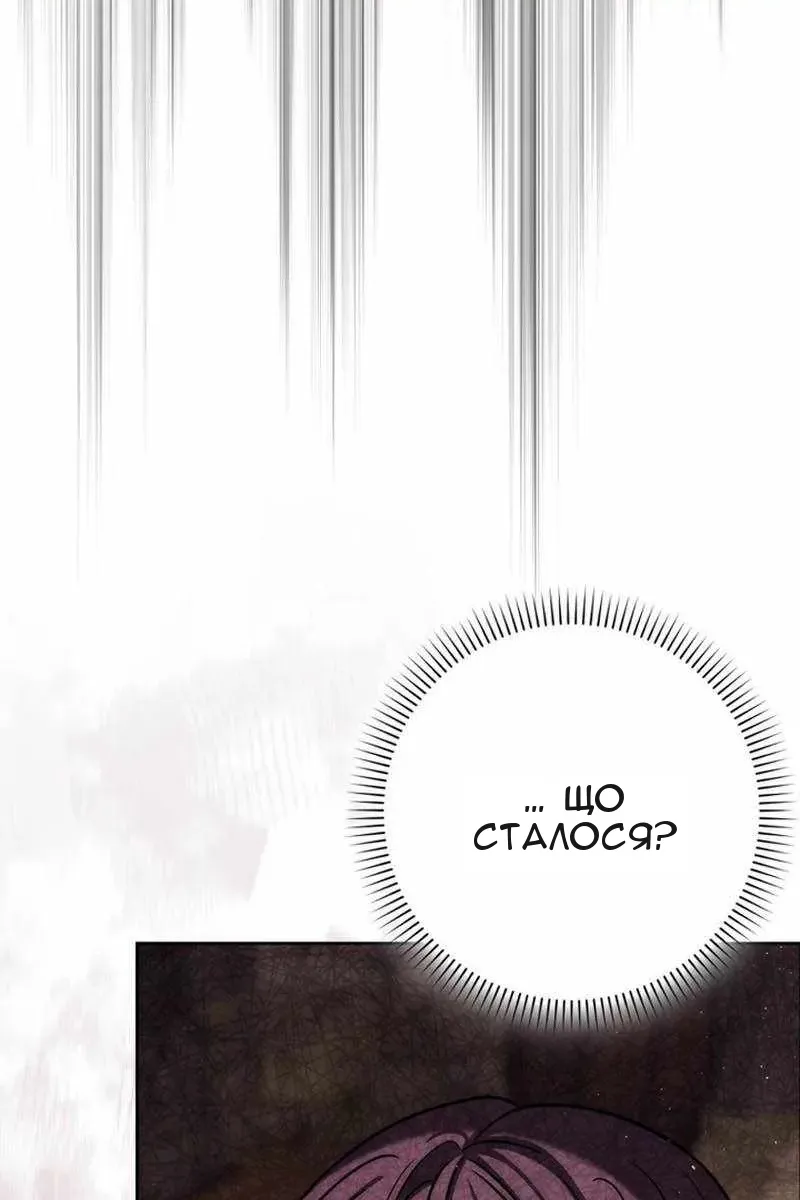 Сторінка 5