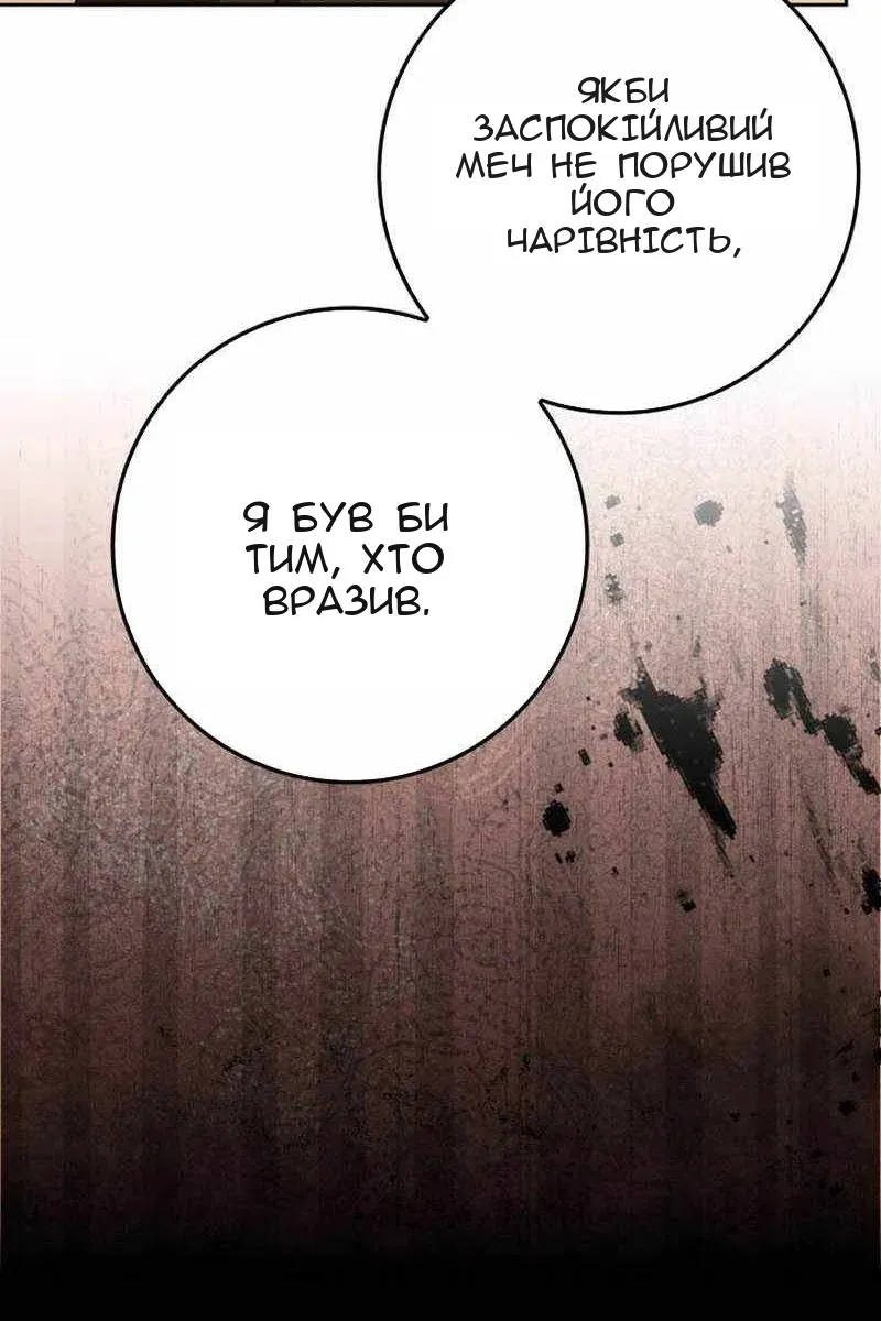 Сторінка 17