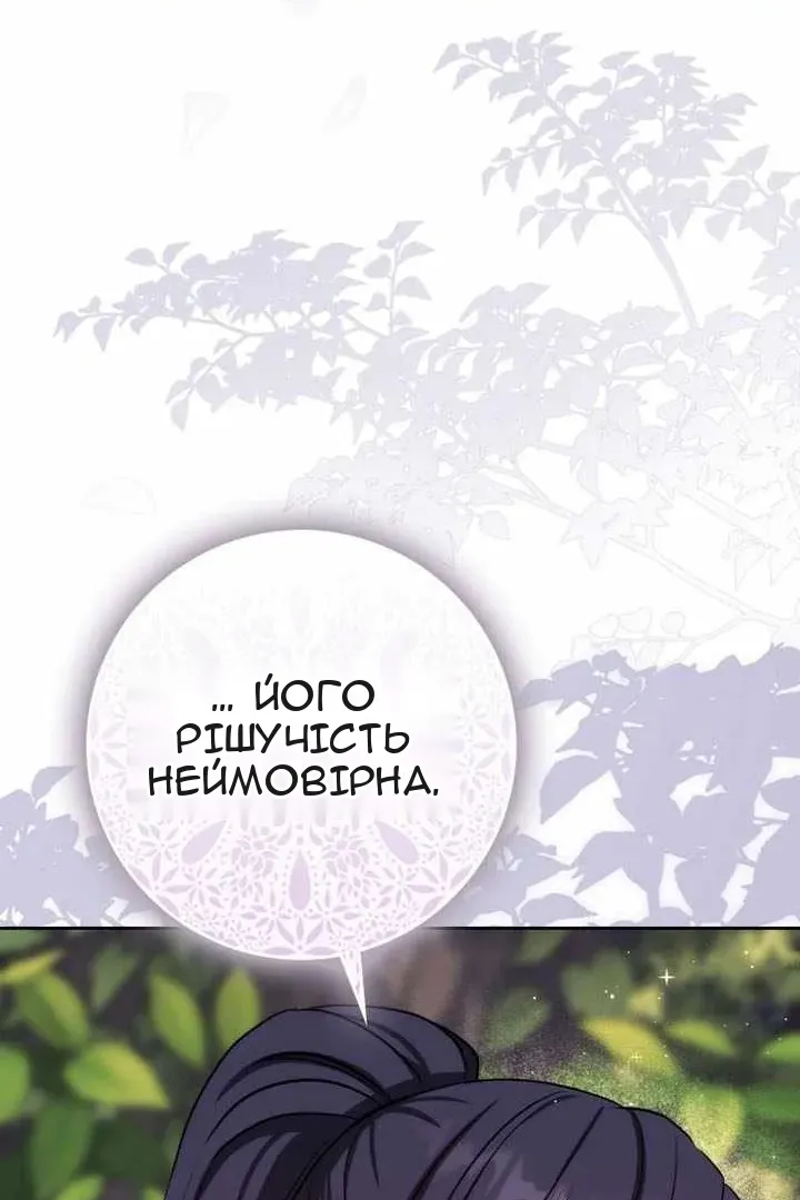 Сторінка 31