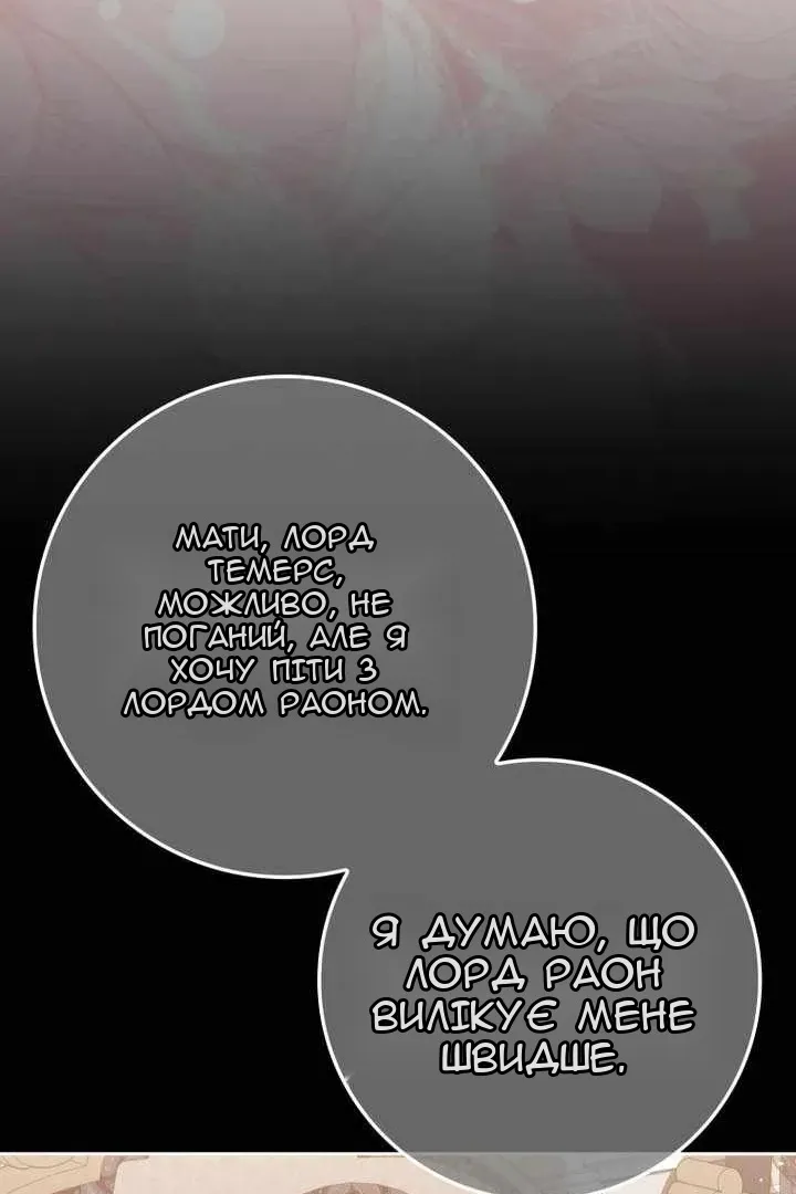 Сторінка 29