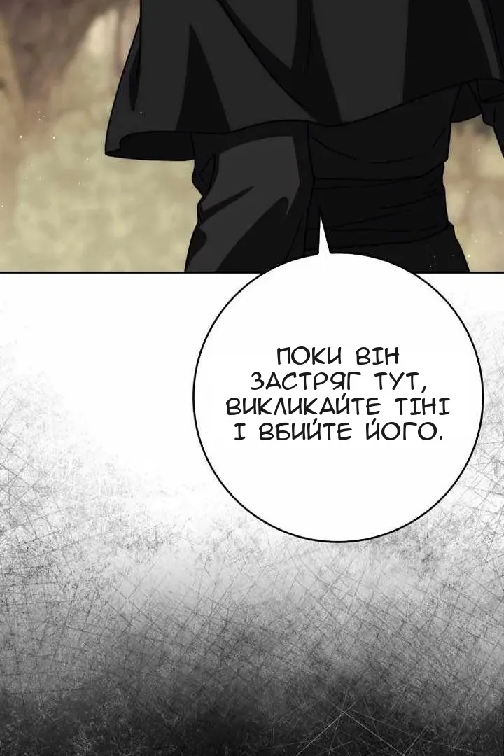 Сторінка 43