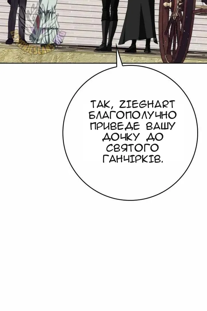 Сторінка 17