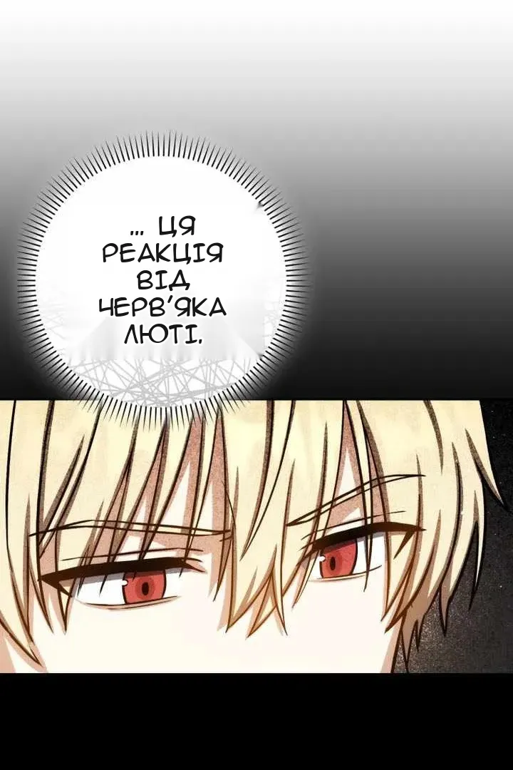 Сторінка 100