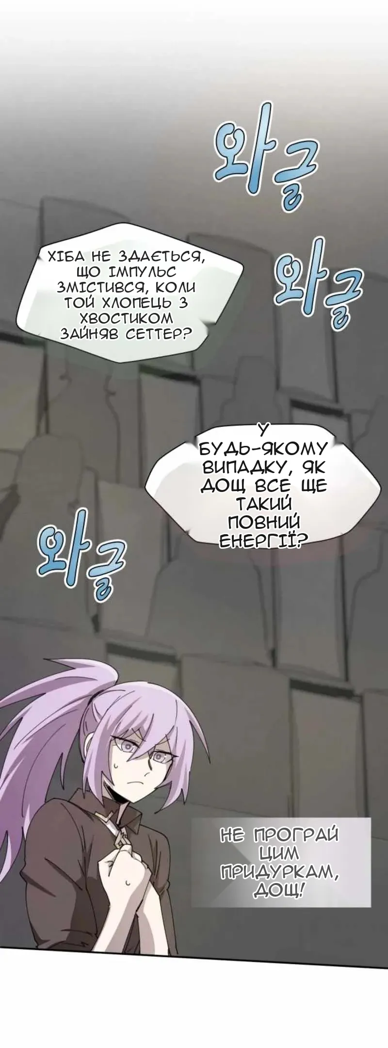 Сторінка 17