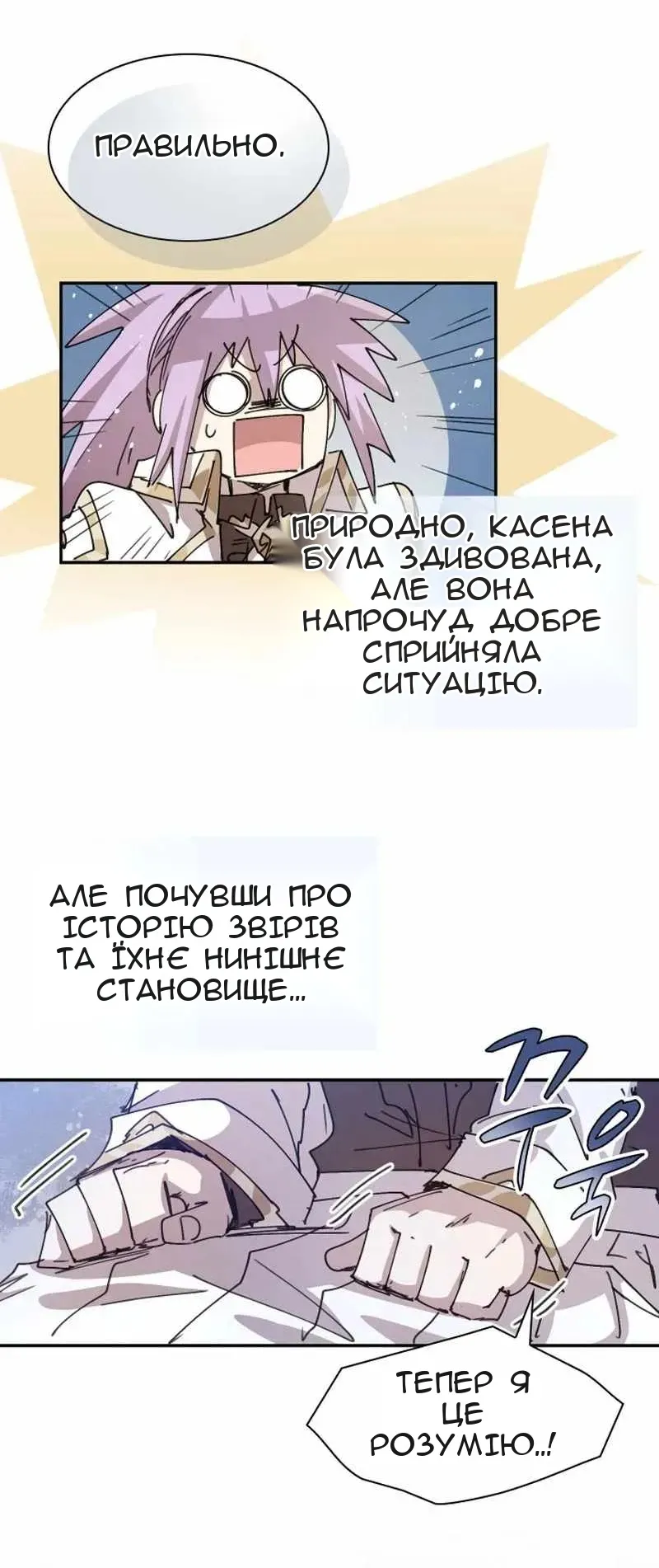 Сторінка 13