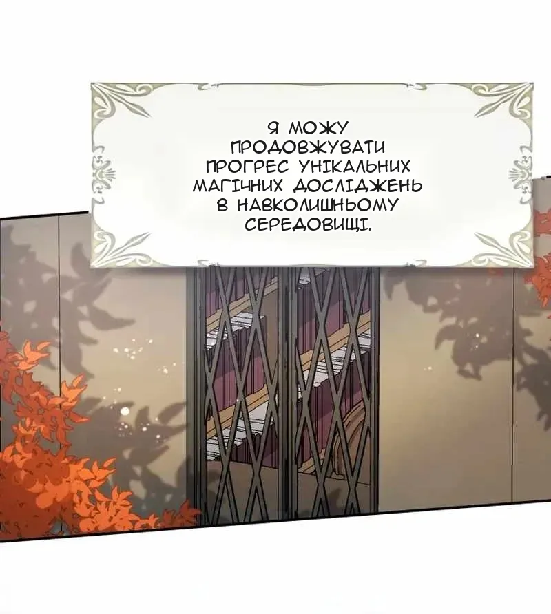 Сторінка 29