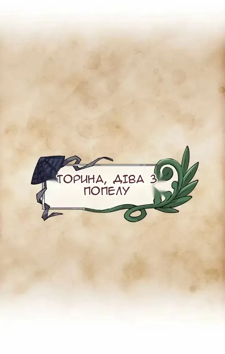 Сторінка 17