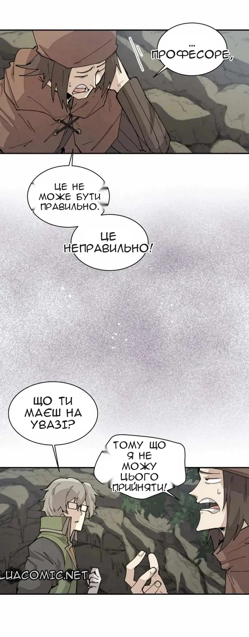 Сторінка 29