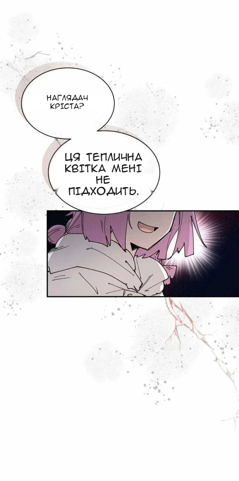 Сторінка 28