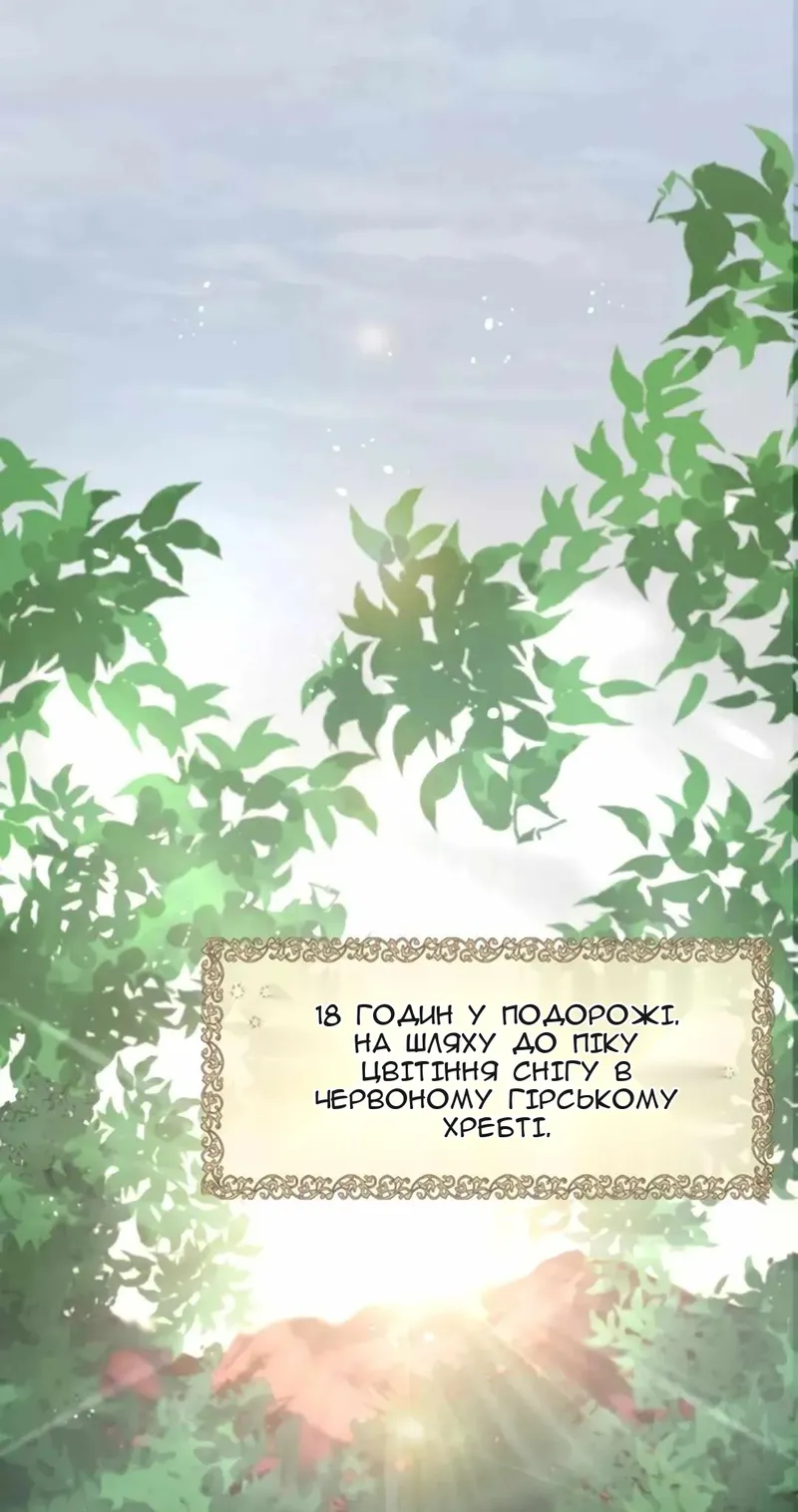 Сторінка 15