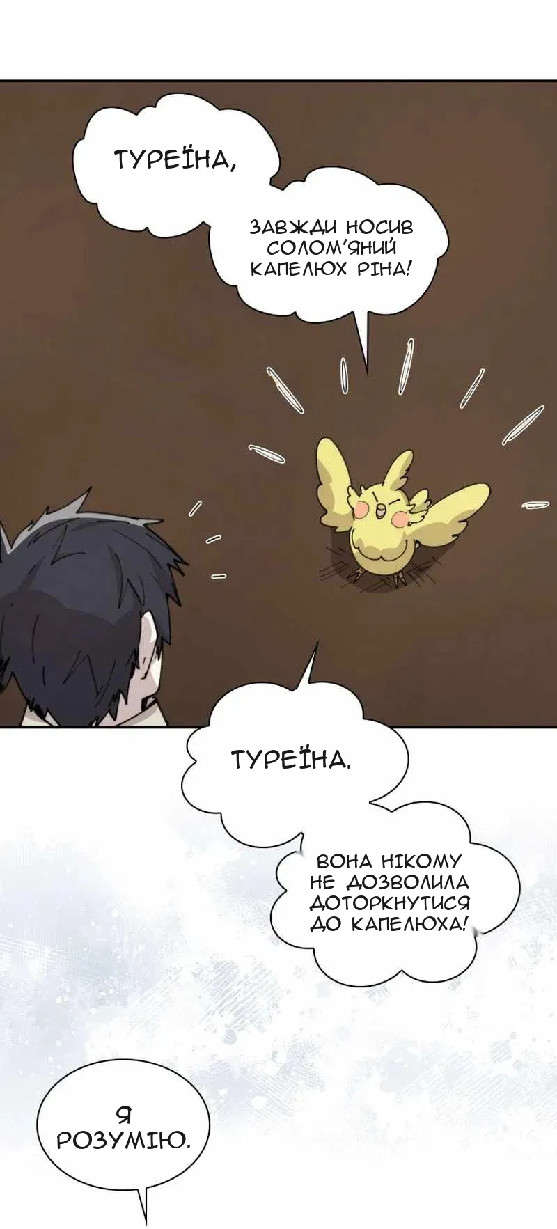 Сторінка 17