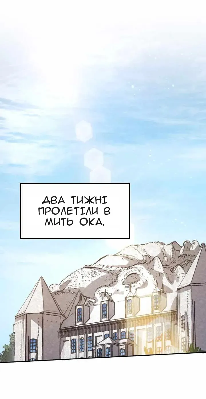 Сторінка 29