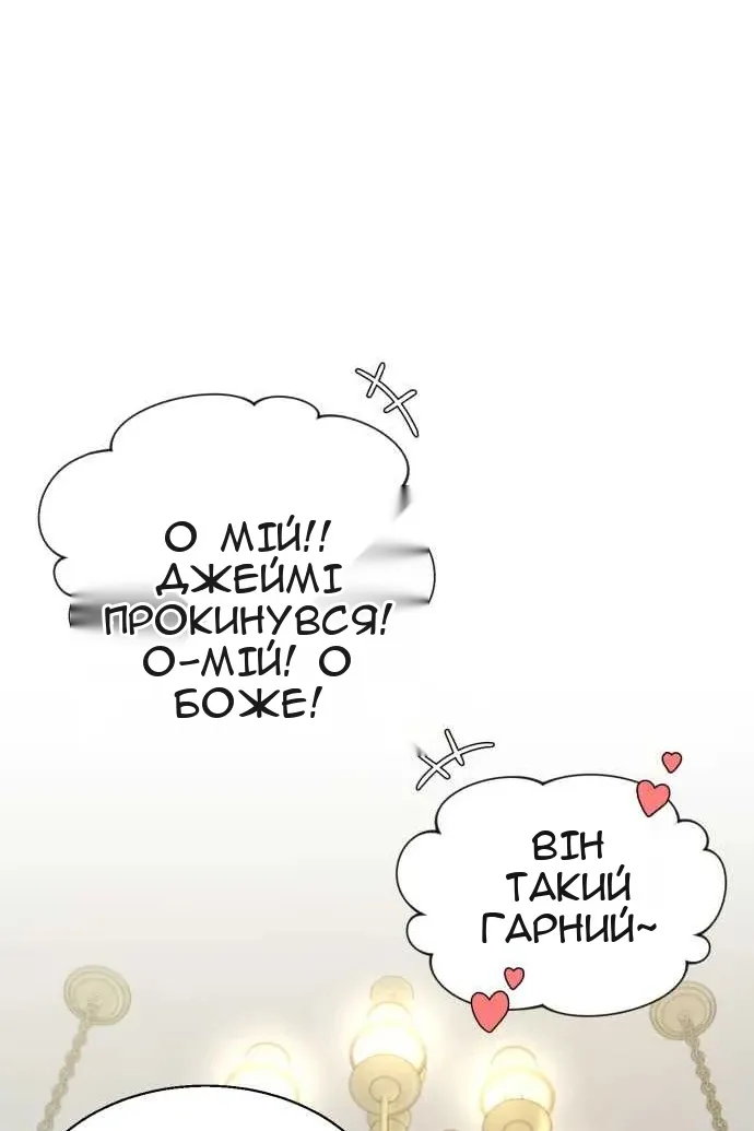 Сторінка 29