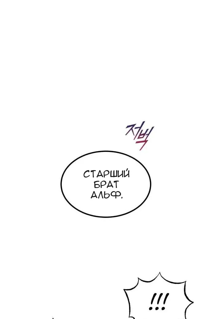 Сторінка 5
