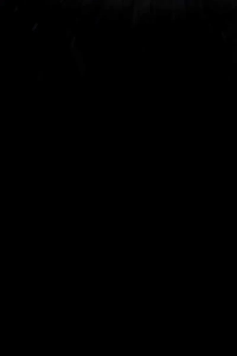 Сторінка 65