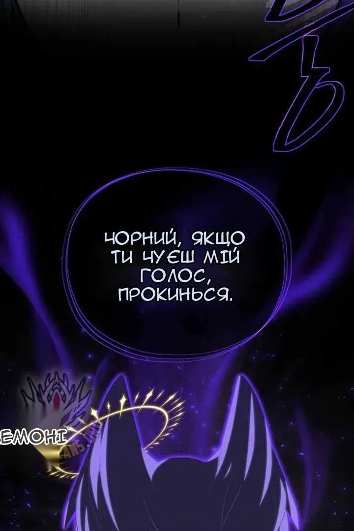 Сторінка 6