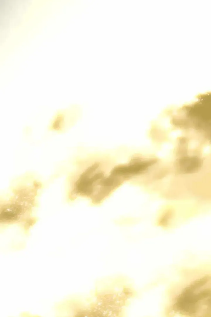 Сторінка 100