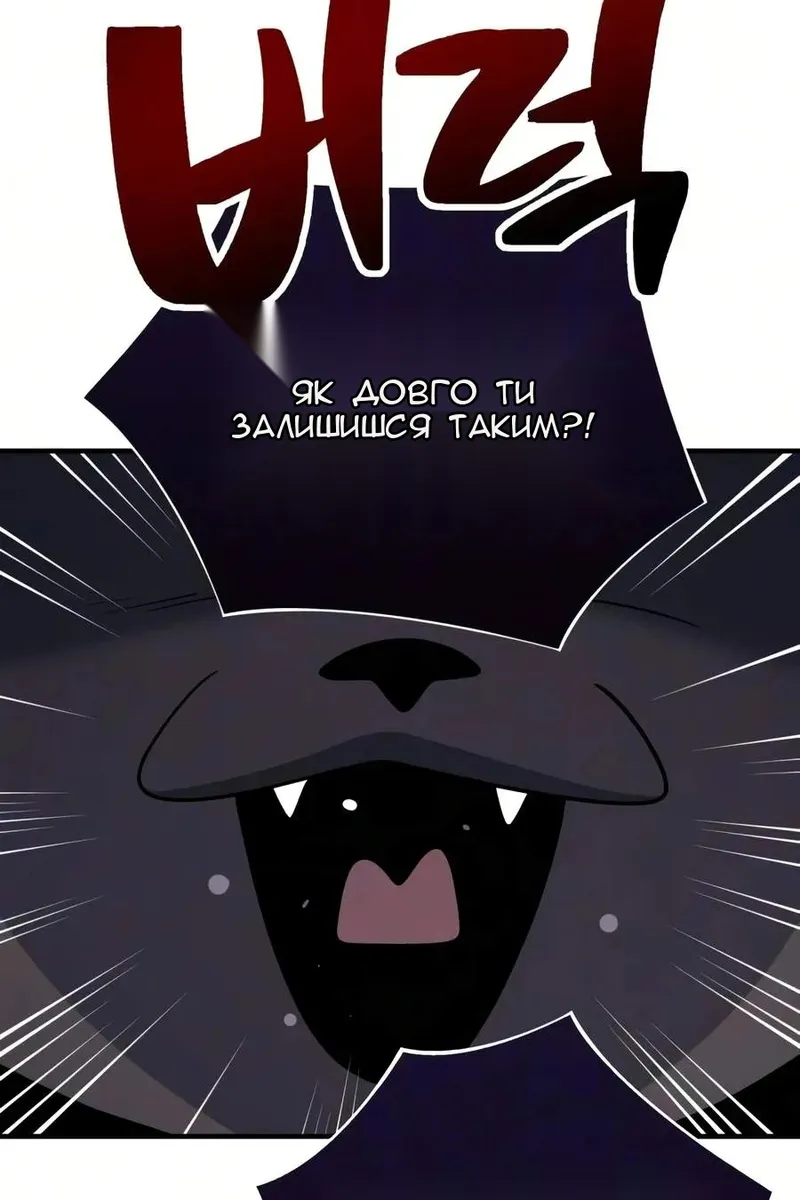 Сторінка 41