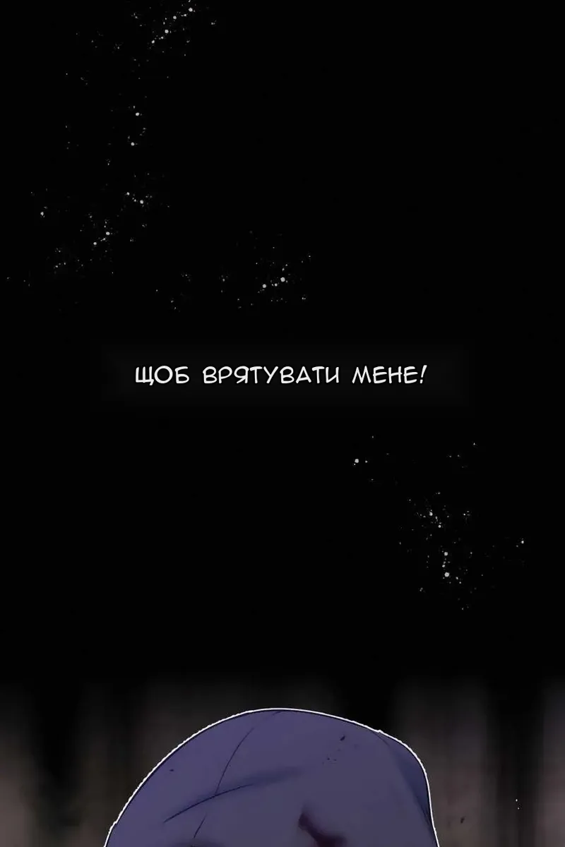 Сторінка 41