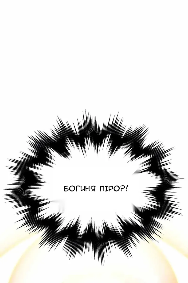 Сторінка 29