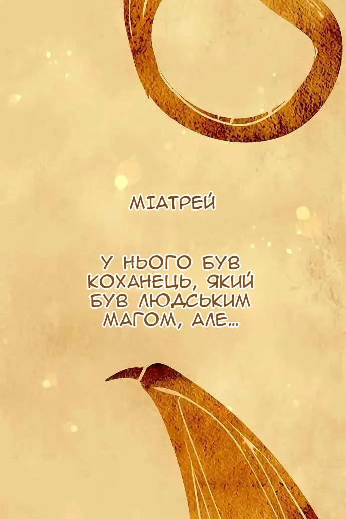 Сторінка 29