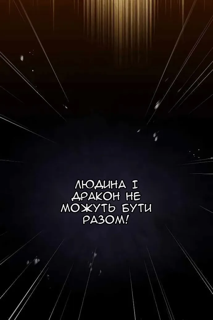Сторінка 31