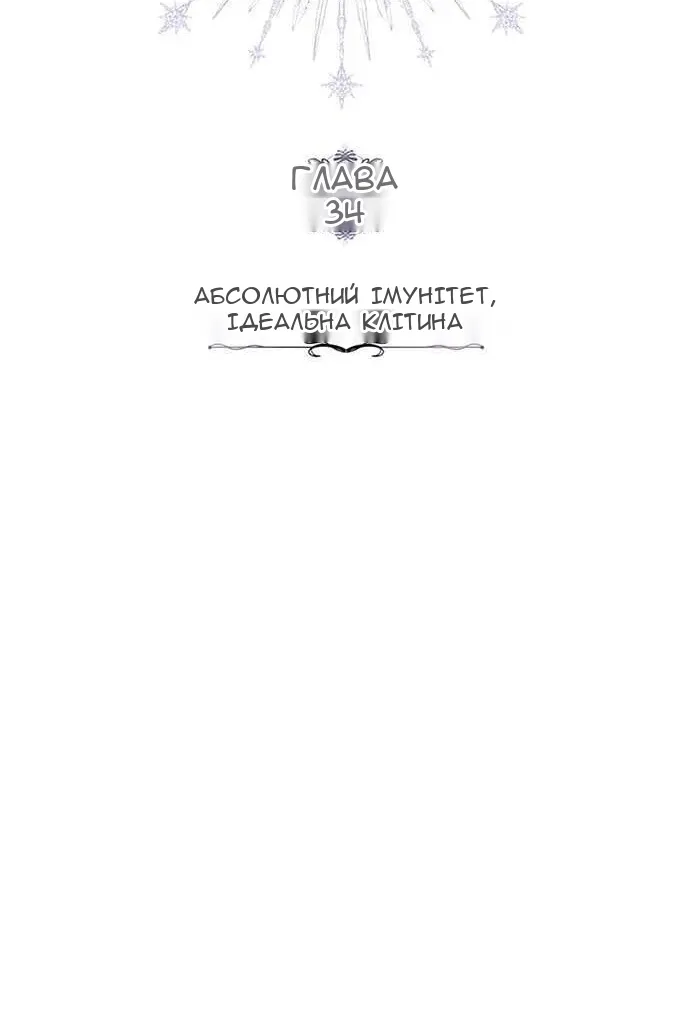 Сторінка 24