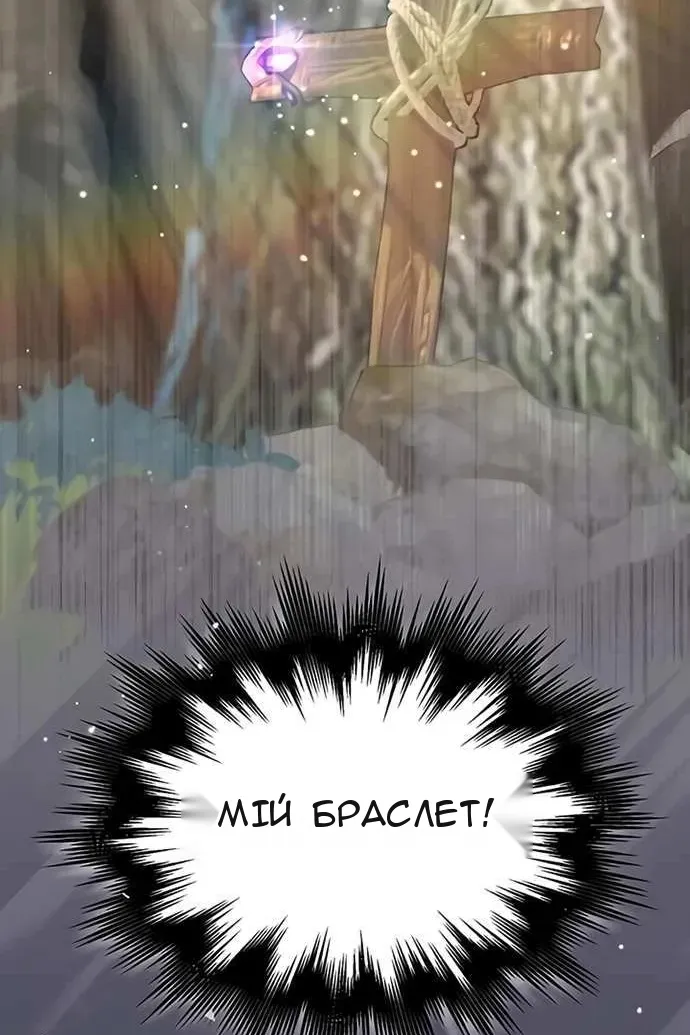 Сторінка 29