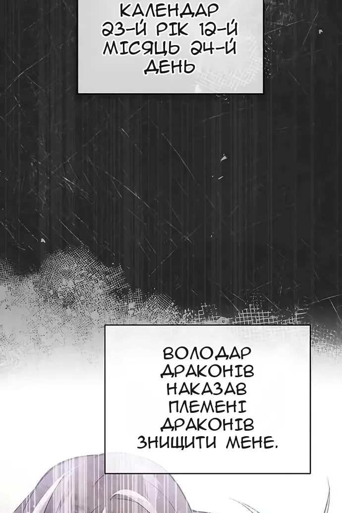 Сторінка 100
