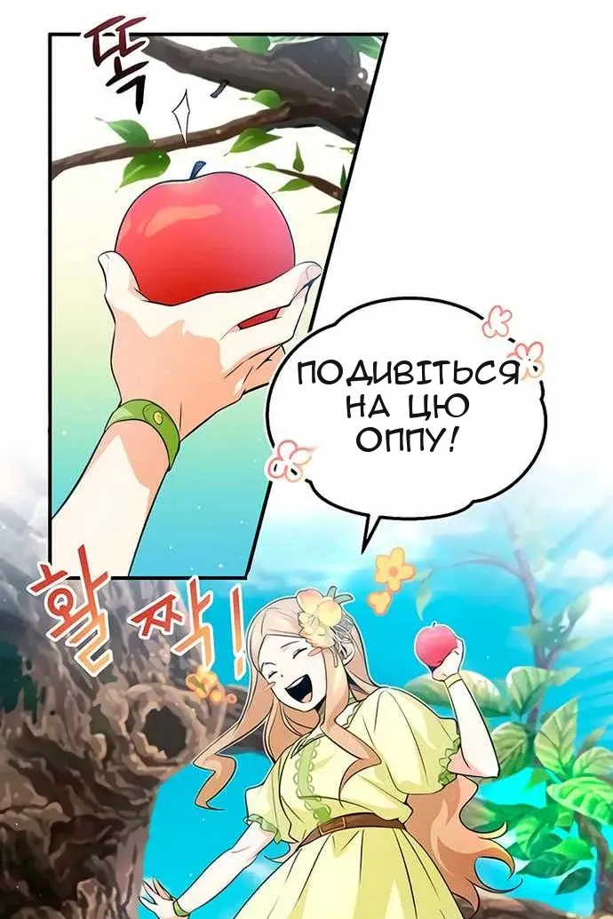 Сторінка 17