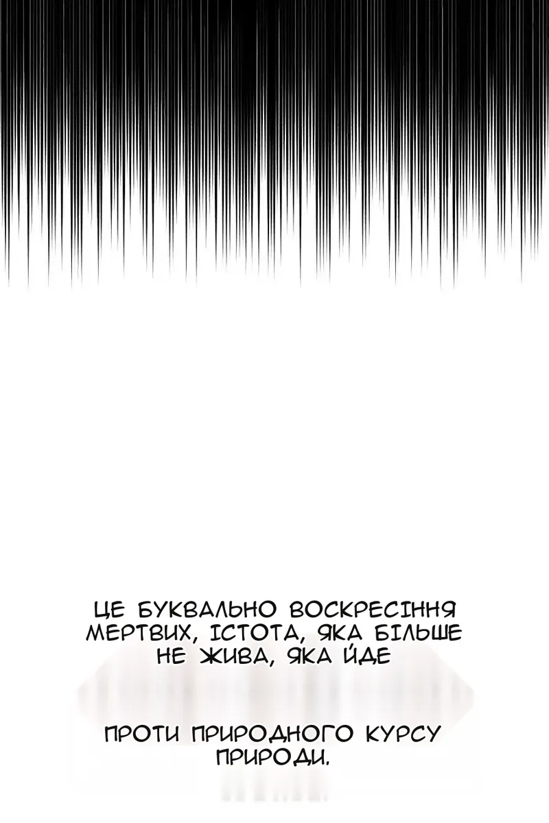 Сторінка 29