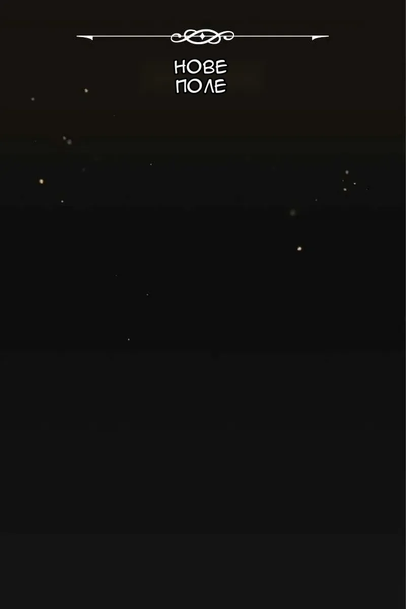 Сторінка 17