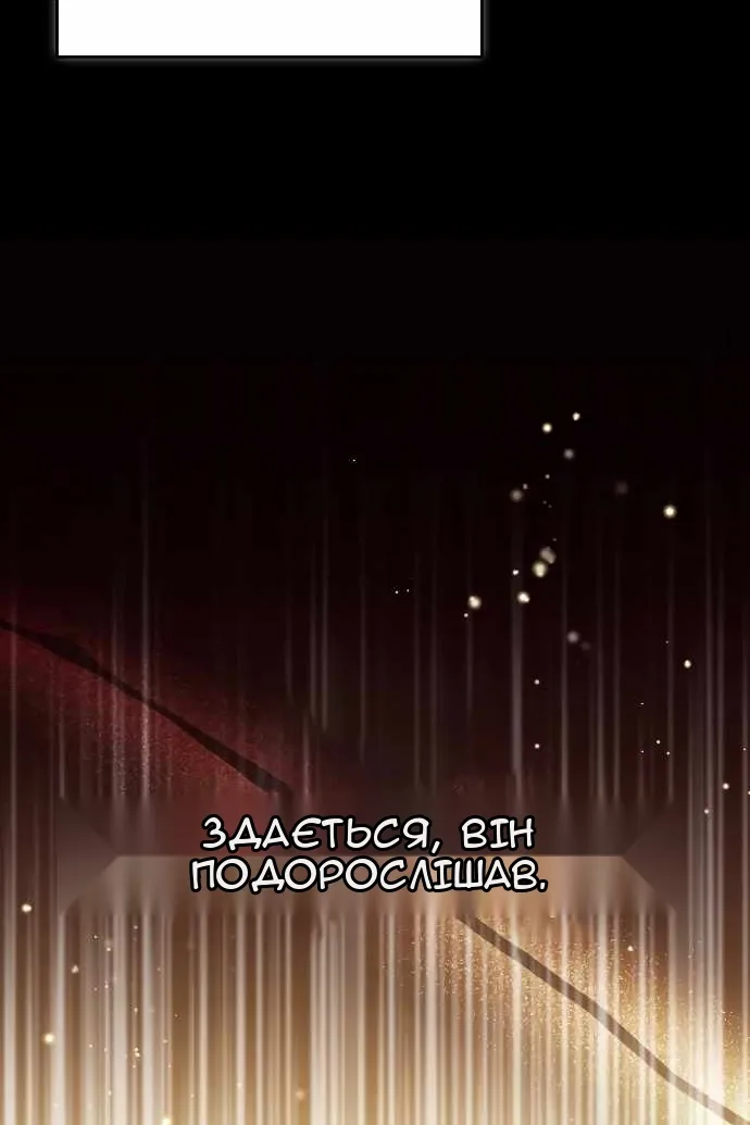 Сторінка 25
