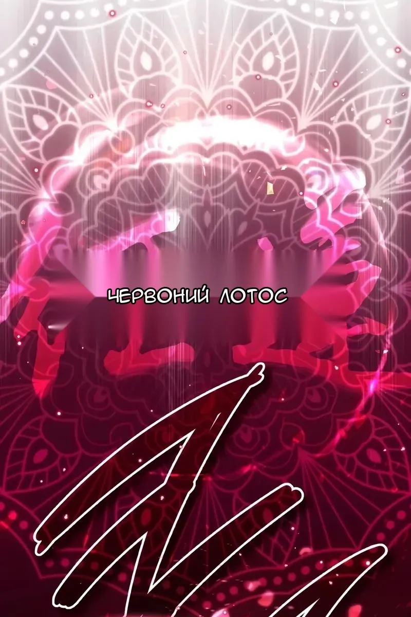 Сторінка 11