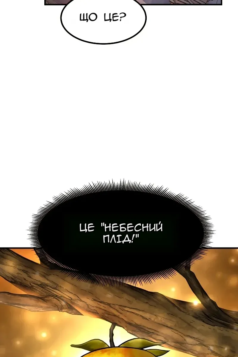 Сторінка 29
