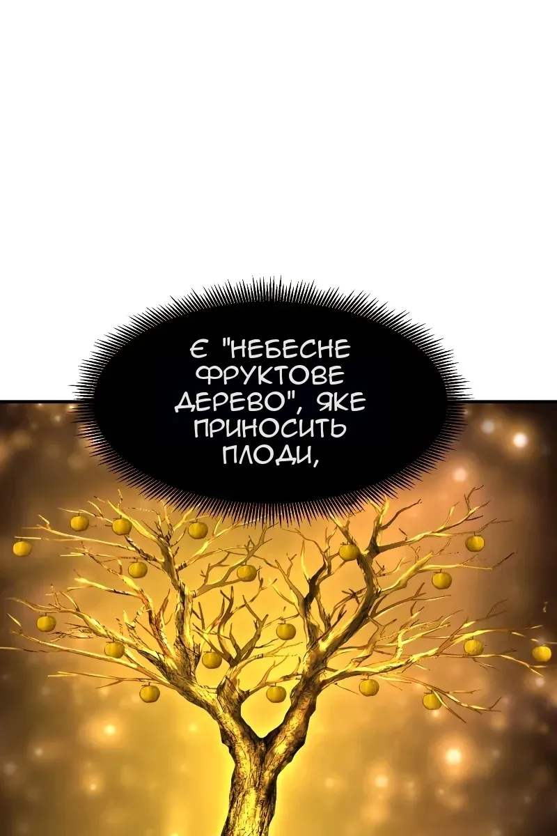 Сторінка 31