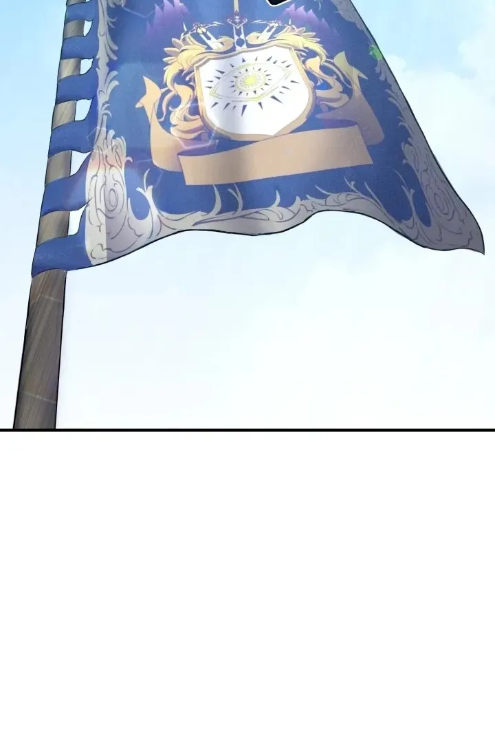 Сторінка 13