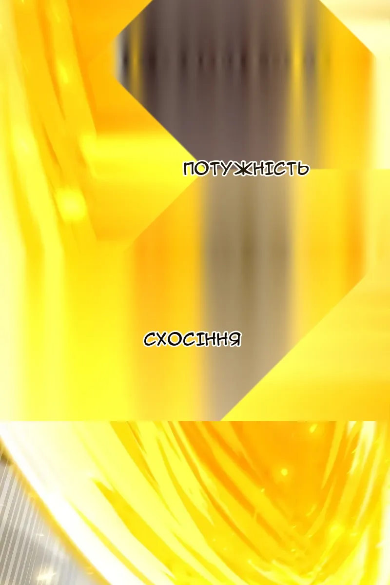 Сторінка 6