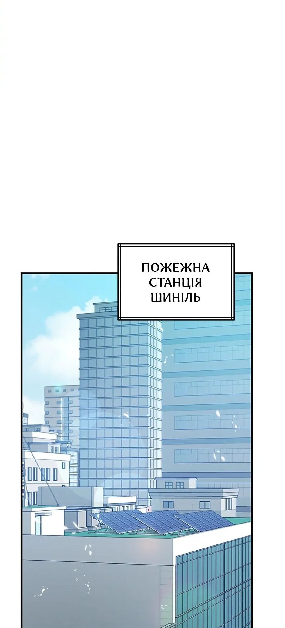 Сторінка 17
