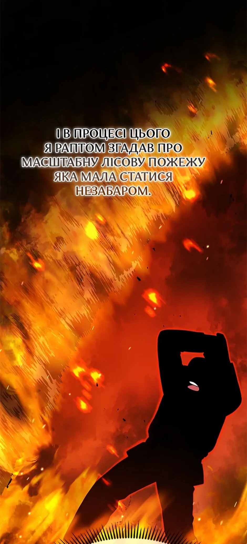 Сторінка 39