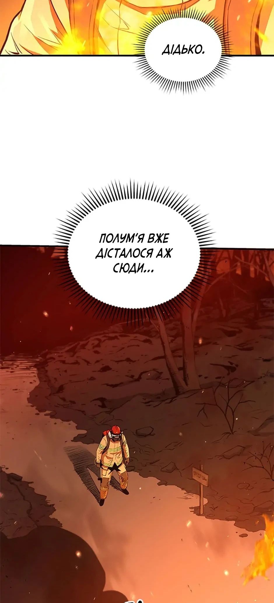 Сторінка 8