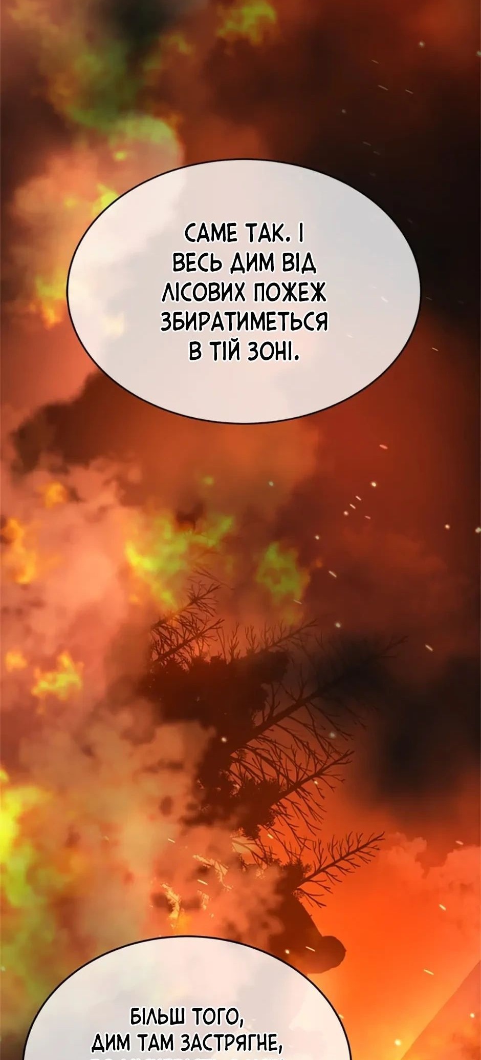 Сторінка 29