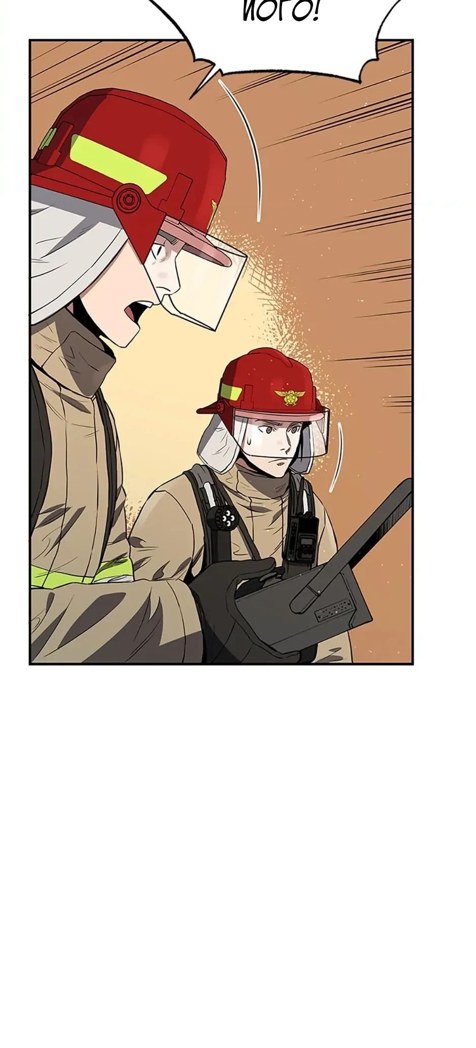 Сторінка 11