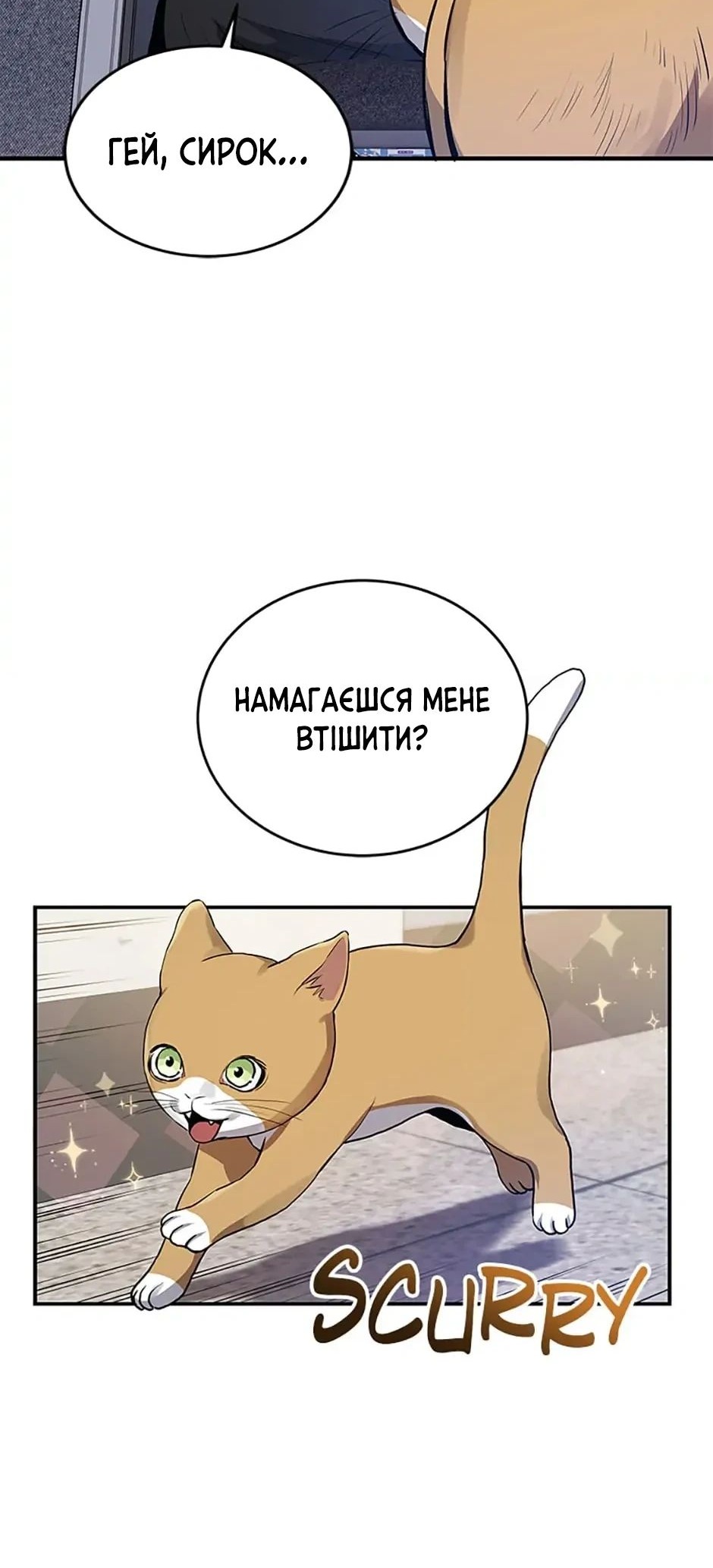 Сторінка 10