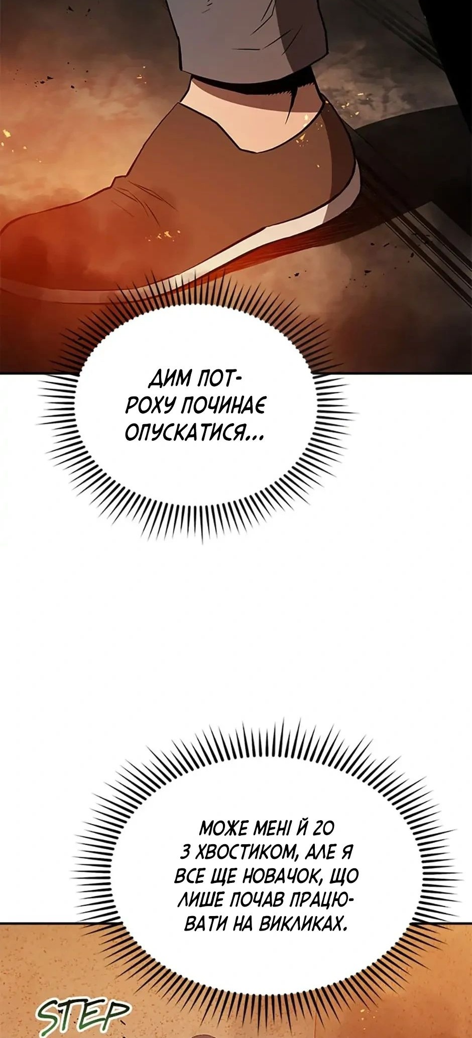 Сторінка 17