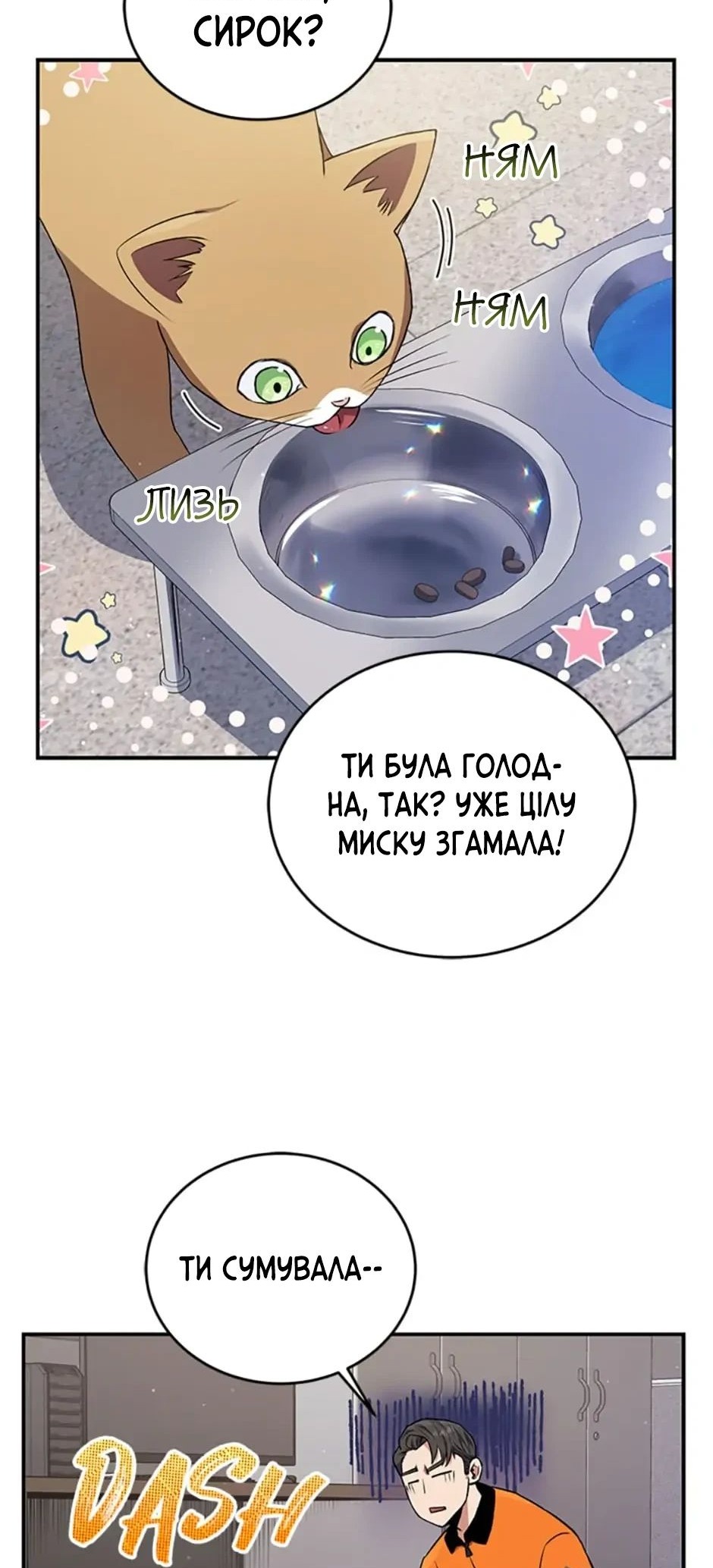 Сторінка 19