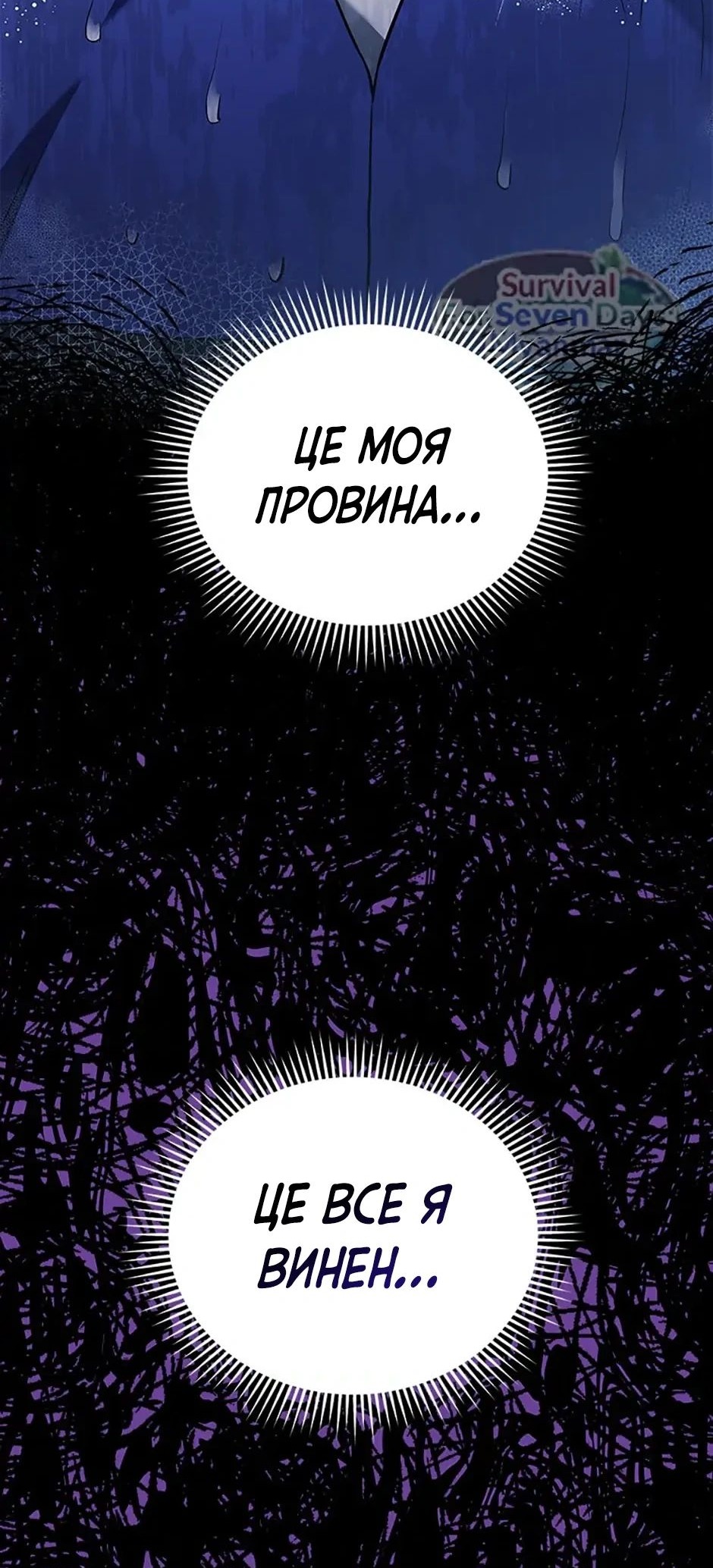 Сторінка 13