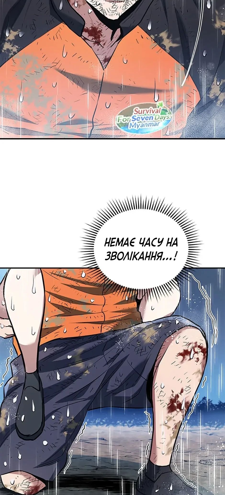 Сторінка 31