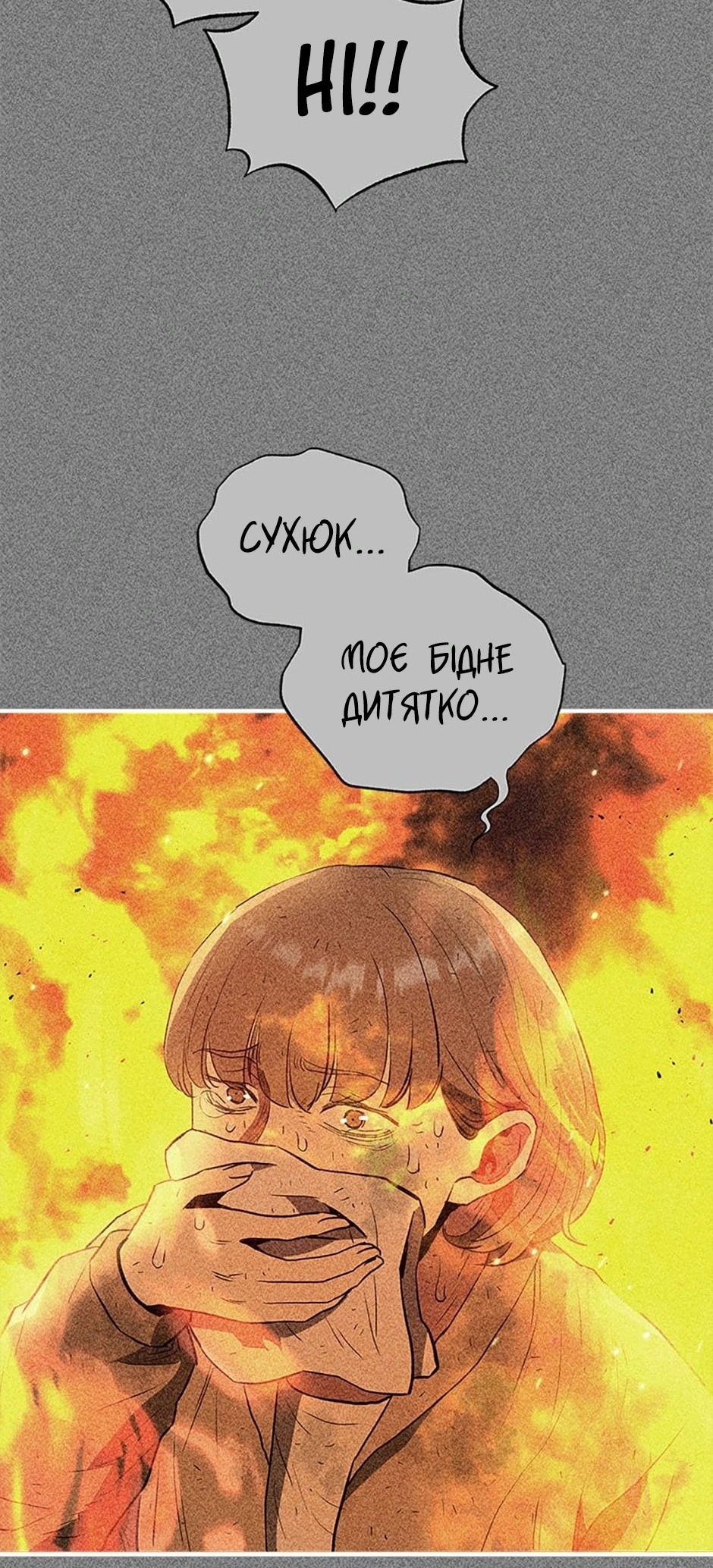 Сторінка 27